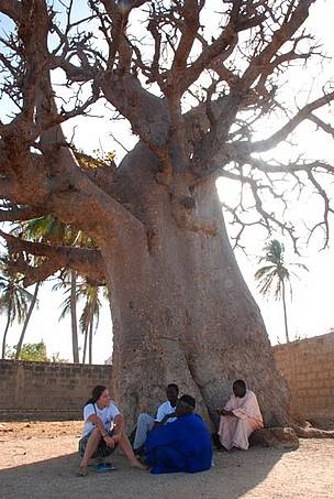 In Senegal the Baobab tree symbolises wisdom, unity and collective thinking. In a meeting with some ...
© WWF / Sian Whalley
© WWF / Sian Whalley