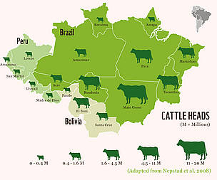 Number of heads of cattle in the states of the Brazilian Amazon and the departments of the
Bolivian ...
© WWF (Adapted from Nepstad, 2008)
© WWF (Adapted from Nepstad, 2008)