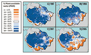 Soil moisture levels across the Amazon during four periods of severe drought. (Nepstad, 2008).
© Nepstad 2008
© Nepstad 2008
