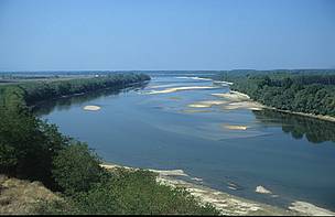 A Danube river island shot from above