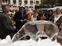 Belgrade - Citizens of Belgrade informing themselves on climate change issues during the caravan ...
© WWF DCP
© WWF DCP