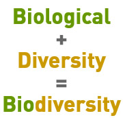 Biodiversity is a contraction of the 2 words
© WWF