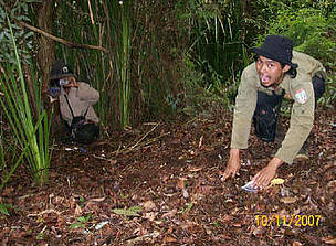 Camera trap operators caught in their own trap during camera installation in Kerumutan, Sumatra, ...
© WWF-Tesso Nilo Prog. Camera trap installment in Kerumutan, Sumatra, Indonesia.
© WWF-Tesso Nilo Prog.