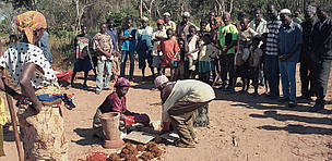 Villagers making piri piri bombs to repel elephants. Mozambique.
© Lyn Treloar / WWF
© Lyn Treloar / WWF