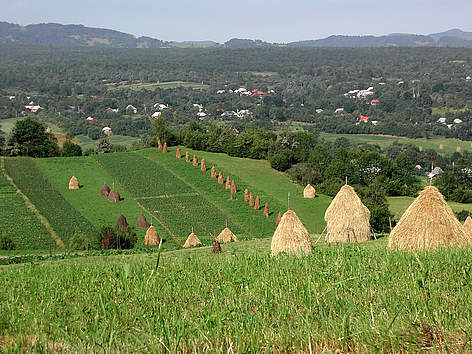 Марамуреш
© WWF / Pop Emil Maramures landscape, with traditional haystacks. rel=
