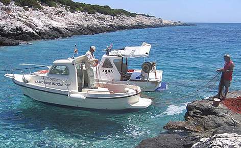 Fish census in Croatia © Nika Staglicic
© © Nika Staglicic rel=