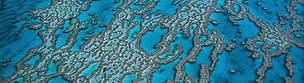 Great Barrier Reef Marine Park, Australia, is a network of fully protected areas within a larger ...
© WWF / Jürgen Freund Great Barrier Reef Marine Park, Australia, is a network of fully protected areas within a larger ...
© WWF / Jürgen Freund