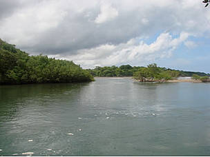 Nandamojo mangrove, Junquillal, Costa Rica
© Carlos Drews
© Carlos Drews