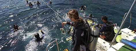 Scuba diving tours in Kas Turkey
© M. Günther - WWF Scuba diving tours in Kas Turkey rel=