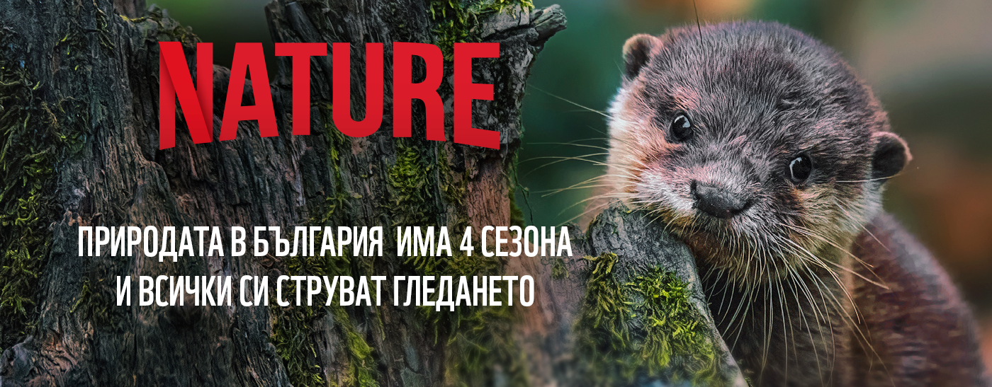 видра, nature, ключова визия