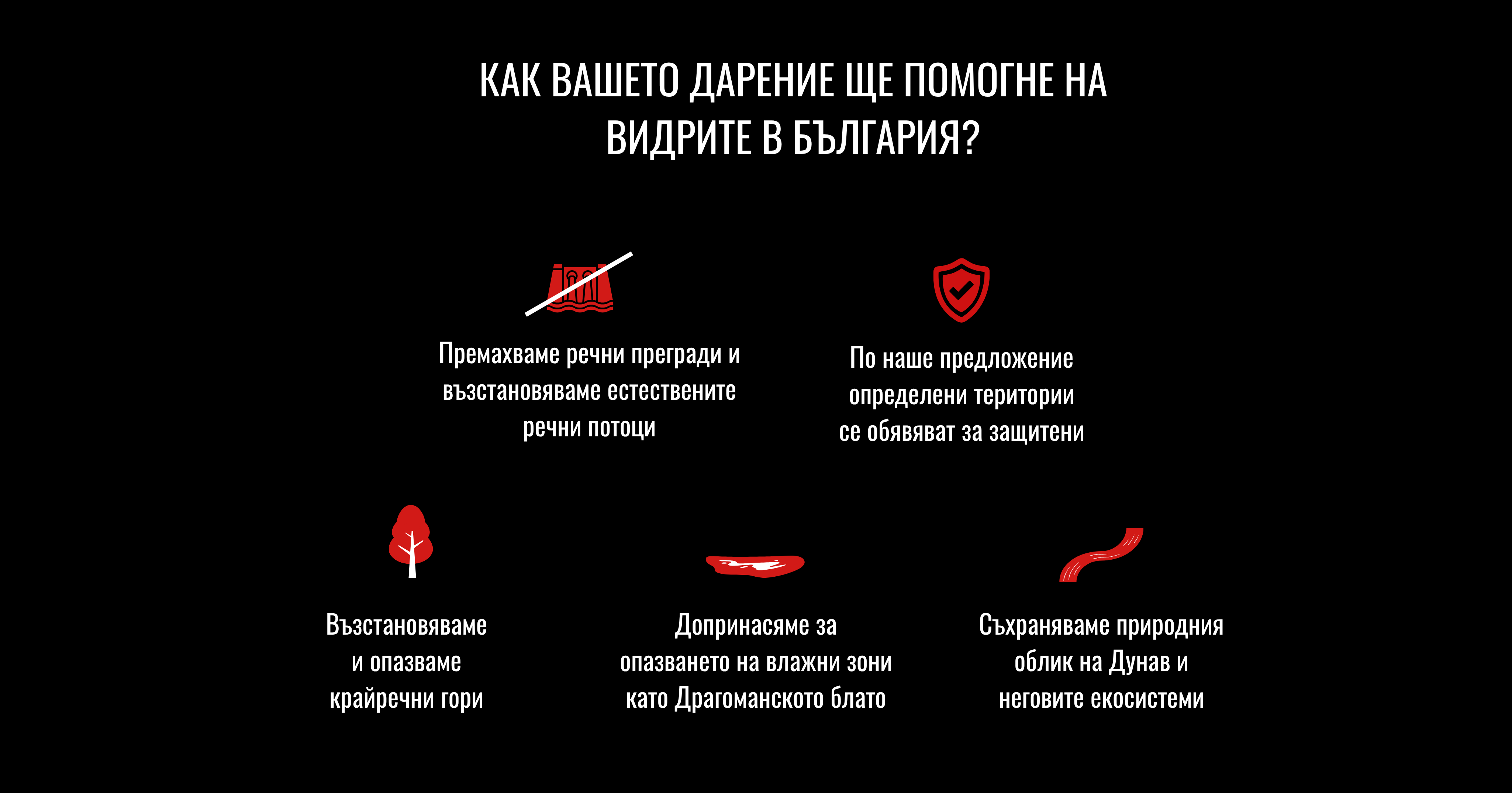 Как вашето дарение помага на видрите