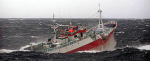 The Uruguayan-flagged Viarsa 1, suspected of fishing illegally for Patagonian toothfish in ...
© Australian Fisheries Management Authority
© Australian Fisheries Management Authority