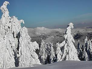 Očekuje se smanjenje snežnog prekrivača i dužine zimskog perioda, što utiče na rezerve vode u ...
© WWF DCP RO
© WWF DCP RO