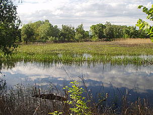 Опасни са не наводненията, а щетите, които те причиняват © WWF DCP Ukraine Опасни са не наводненията, а щетите, които те причиняват