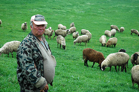 There are currently 4 million subsistence farmers in Romania with less than 2 hectares of land that ... rel=