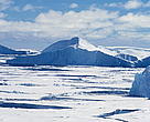 The new study has documented glacier retreat rates of 50 meters per year during the last five years - some of the world’s fastest, documented glacier retreat.