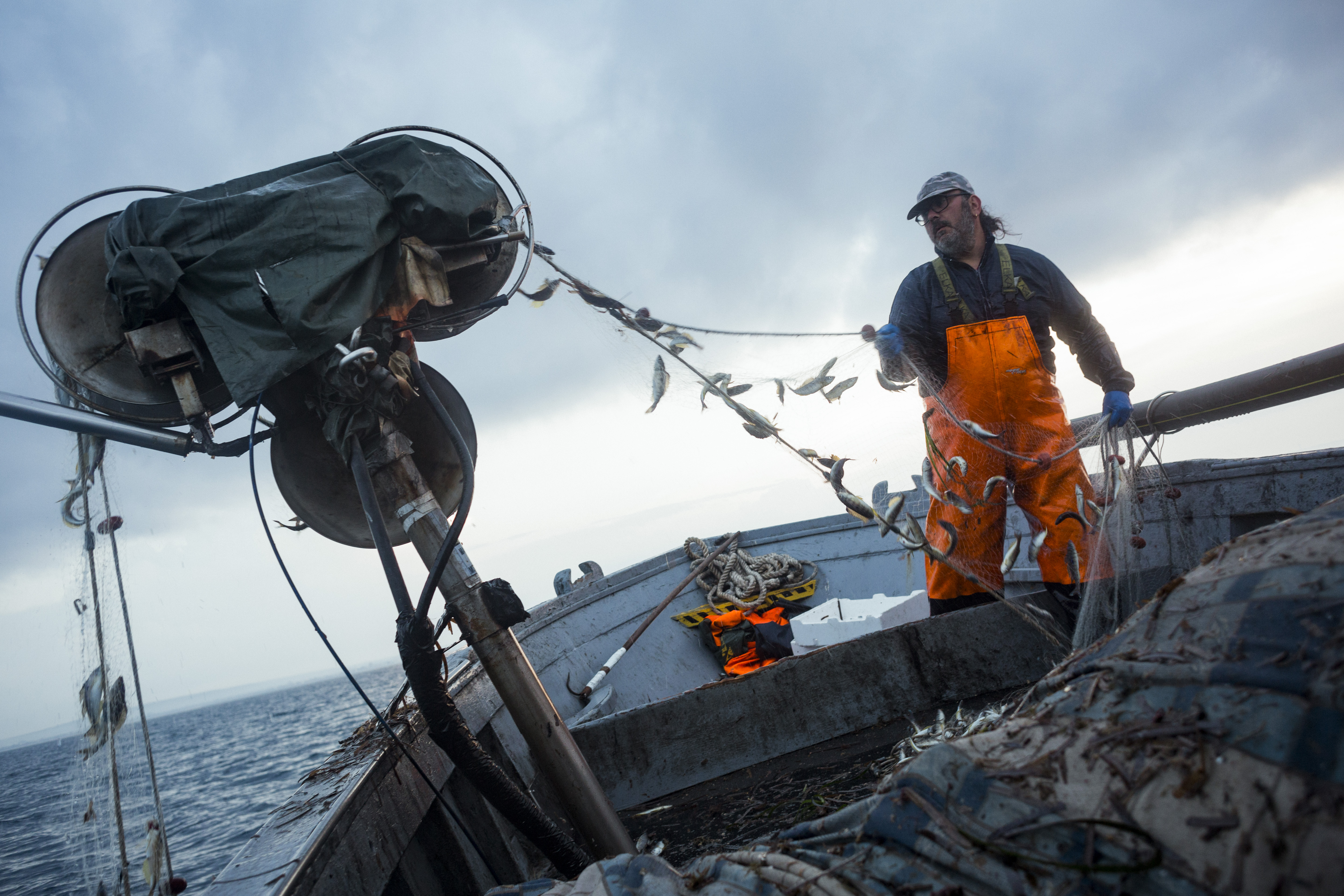 Transforming small-scale fisheries