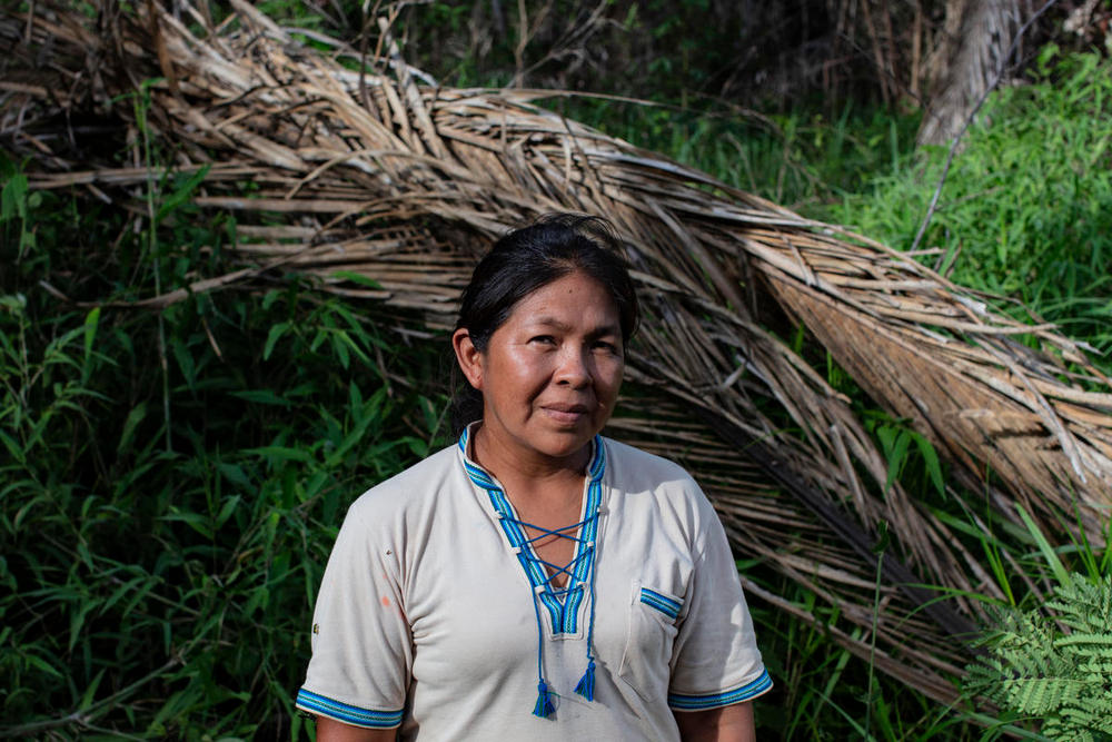 Ngo Recommendations On The Future Eu Legislation To Protect Forests