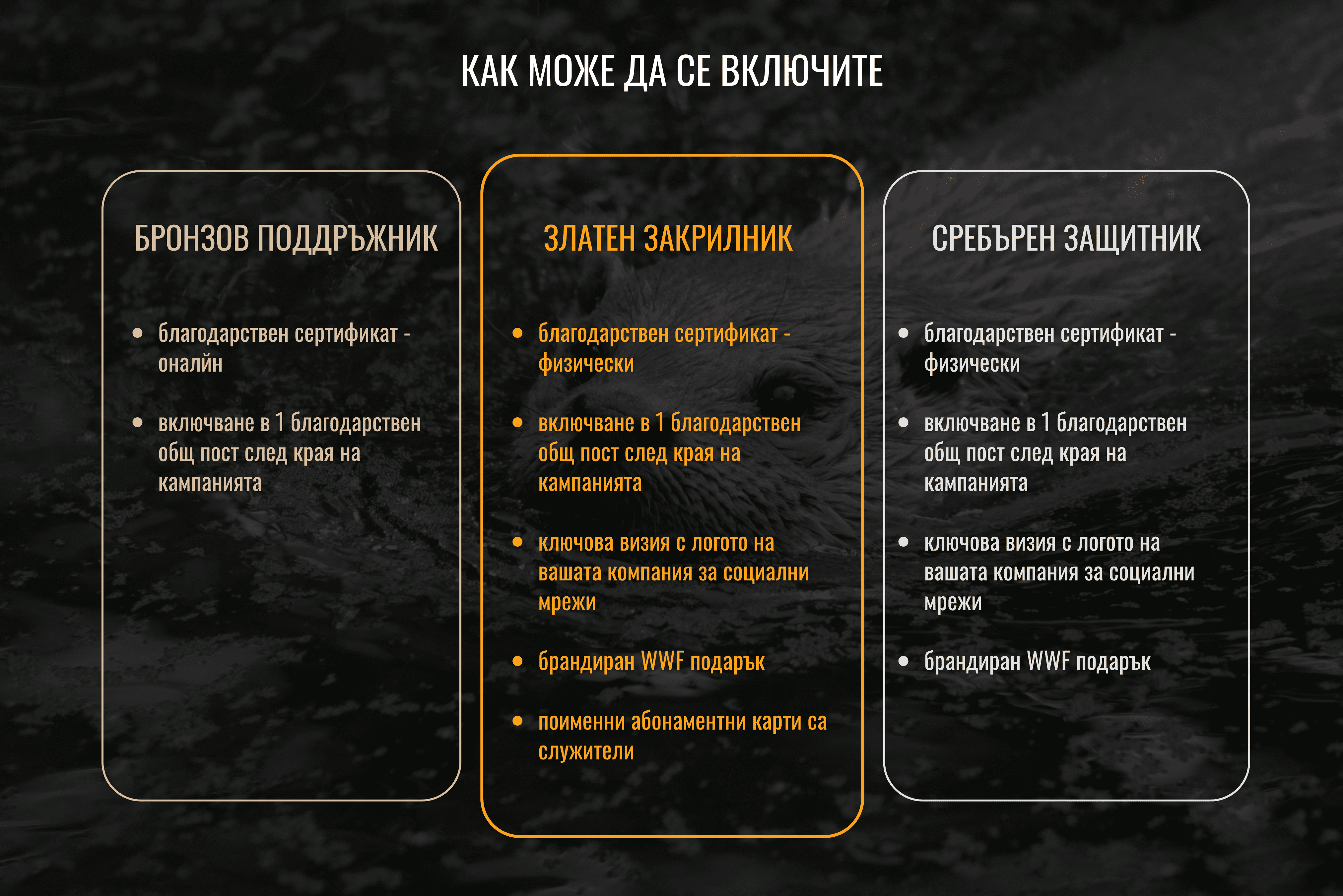 Packages for companies, WWF Bulgaria Christmas campaign 2025