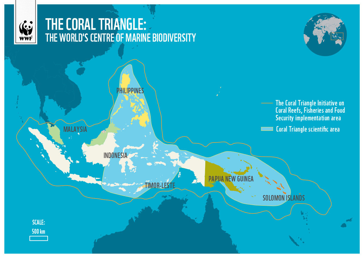 Coral Triangle Map | WWF