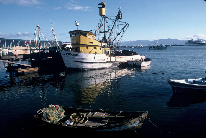 Marine Stewardship Council (MSC) Wild Seafood Sustainability