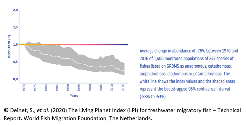 93% collapse in migratory freshwater fish populations in Europe