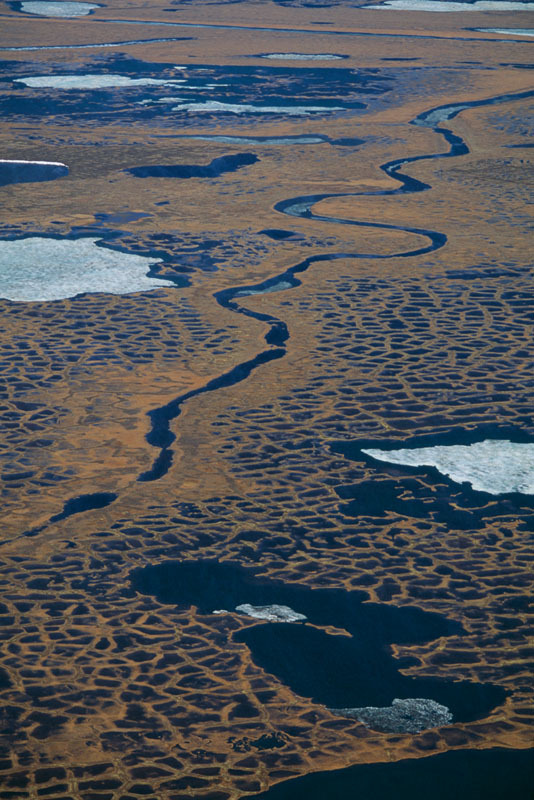 Conserving Russia s Forests WWF conserving-russia-s-forests-wwf