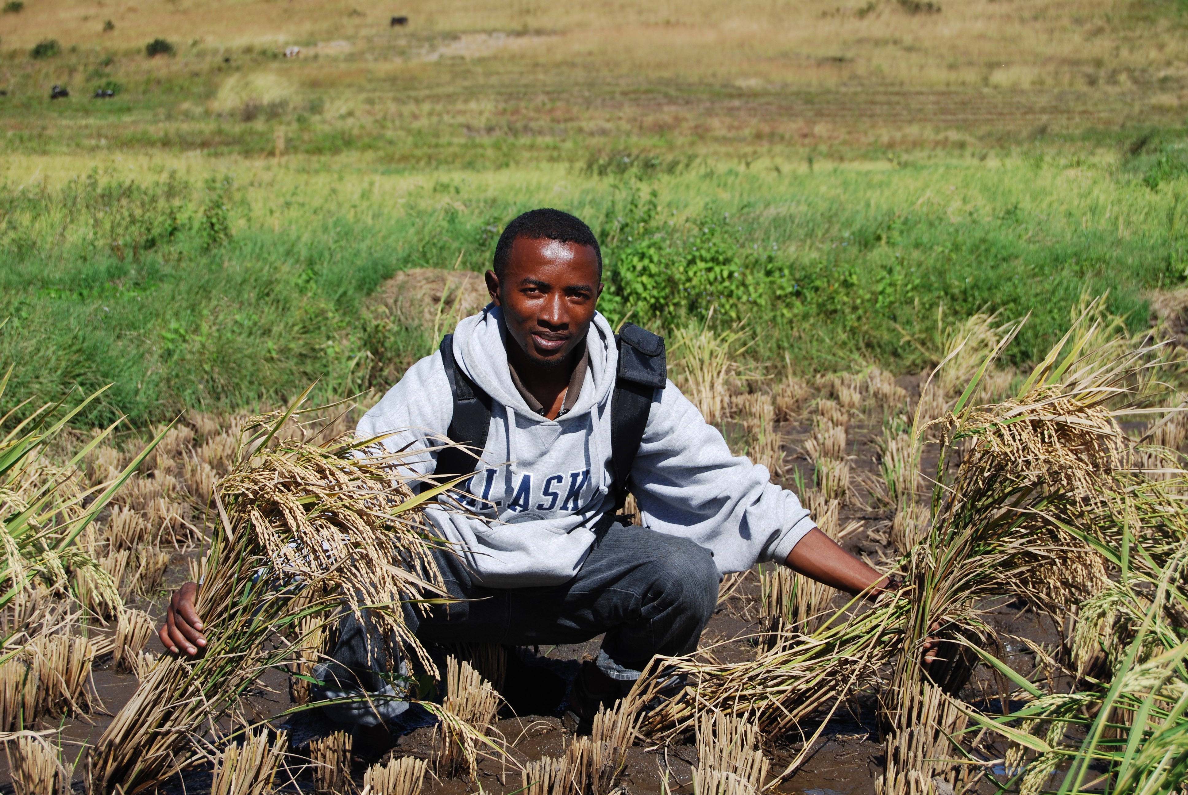Randriamanantsoa Philbert in his SRI field. 