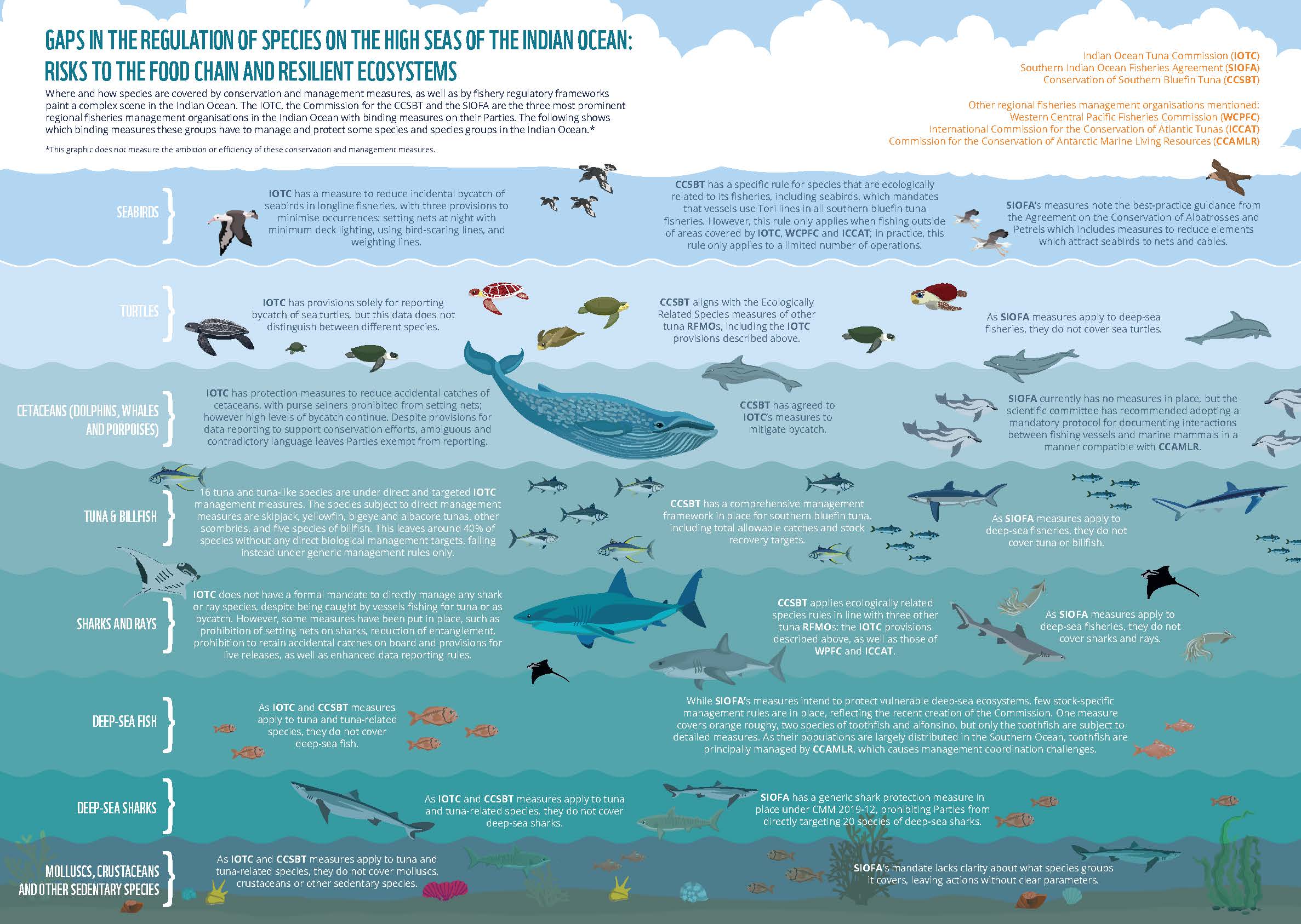 https://wwfeu.awsassets.panda.org/img/original/wwftmt_gaps_in_the_regulation_of_species_on_the_high_seas_of_the_indian_ocean_nov2020.jpg